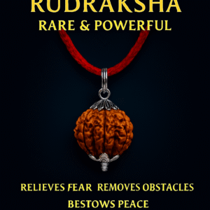 10 Mukhi Siddh Rudraksha - Das Mukhi