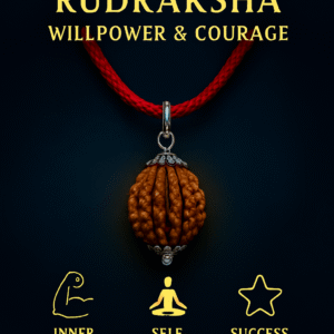 11 Mukhi Siddh Rudraksha - Gyaarah Mukhi