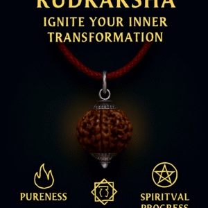 5 Mukhi Siddh Rudraksha - Paanch Mukhi