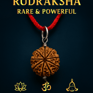 9 Mukhi Siddh Rudraksha - Nau Mukhi