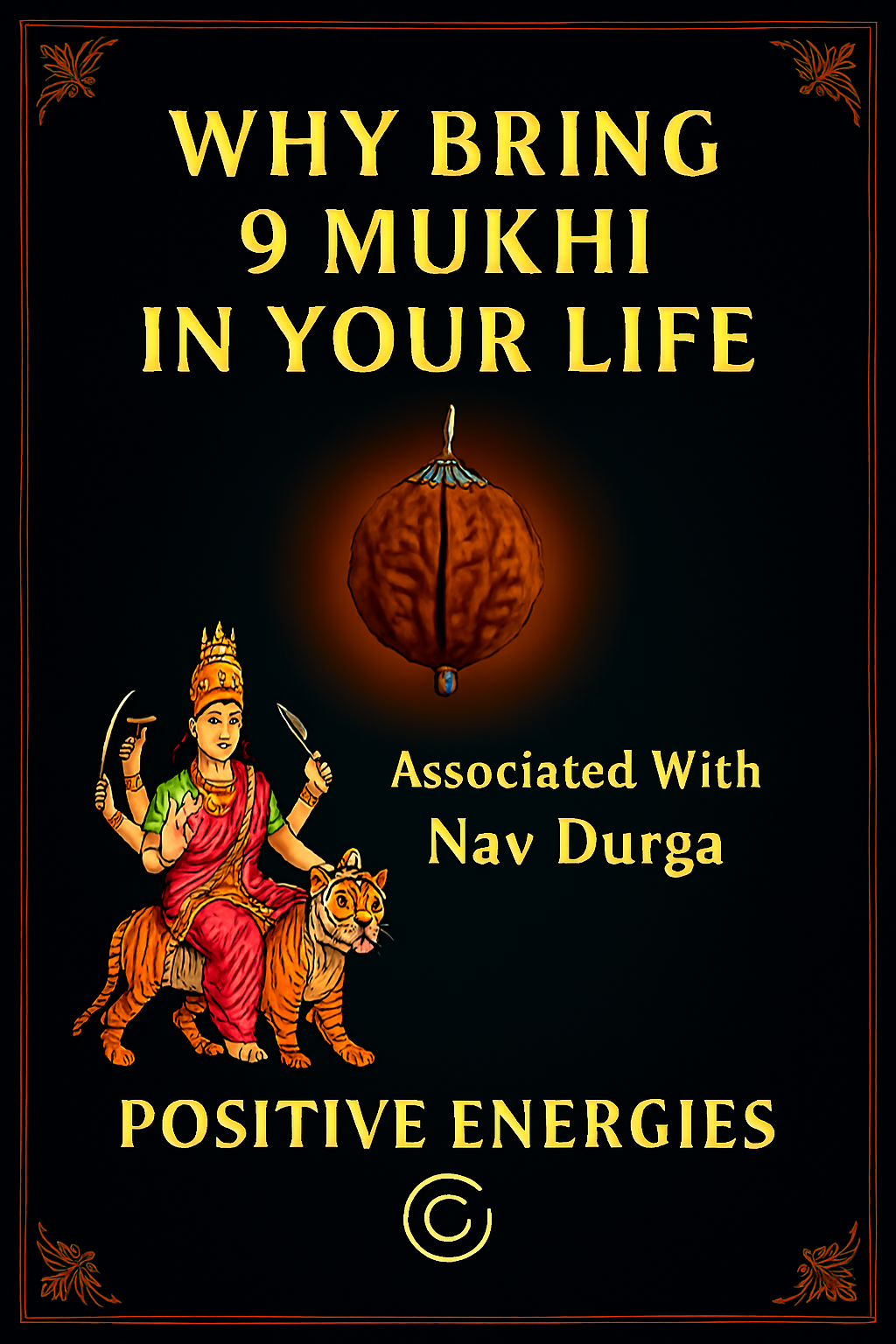 9 Mukhi Siddh Rudraksha - Nau Mukhi - Image 2